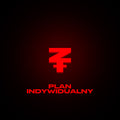 INDYWIDUALNY PLAN TRENINGOWY